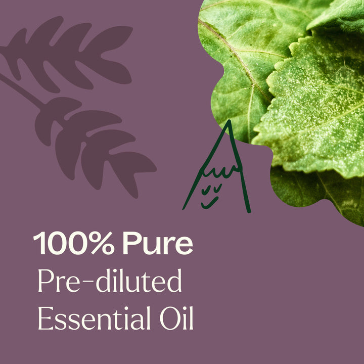 Aged Dark Patchouli Essential Oil Pre-Diluted Roll-On 10 ml