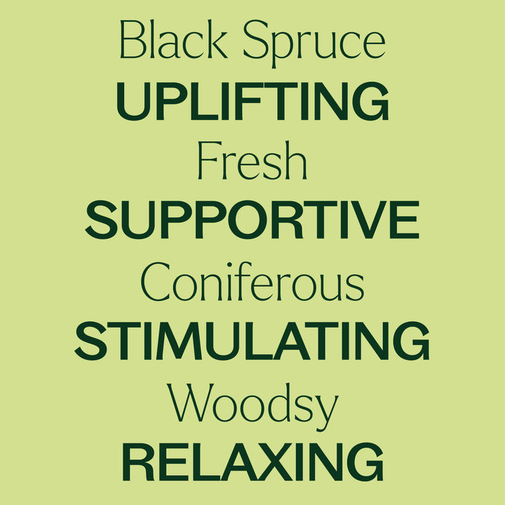 Black Spruce Essential Oil
