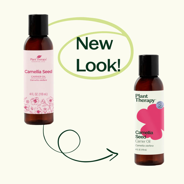 Camellia Seed Carrier Oil