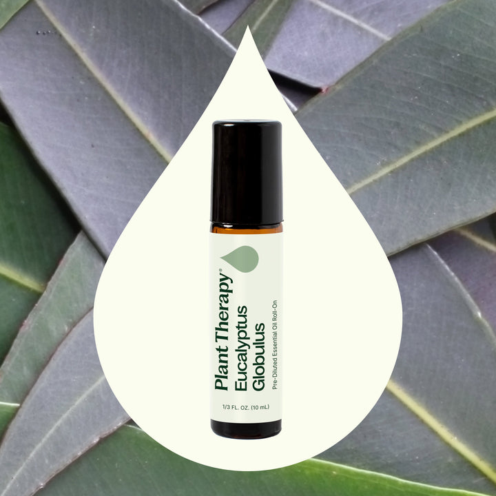 Eucalyptus Globulus Essential Oil Pre-Diluted Roll-On