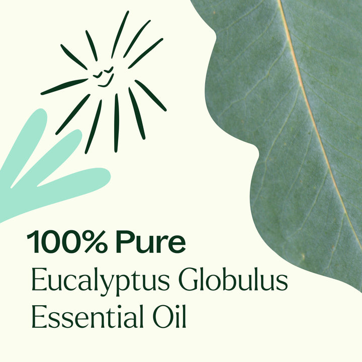 Eucalyptus Globulus Essential Oil Pre-Diluted Roll-On