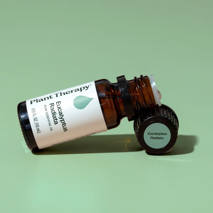 Eucalyptus Radiata Essential Oil