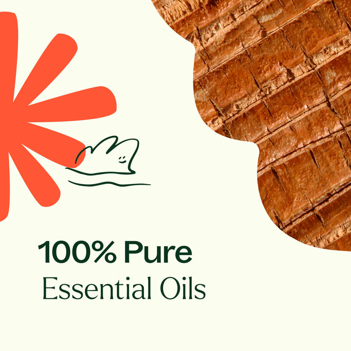 Grounded Foundation (Root Chakra) Essential Oil