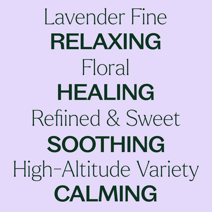 Lavender Fine Essential Oil