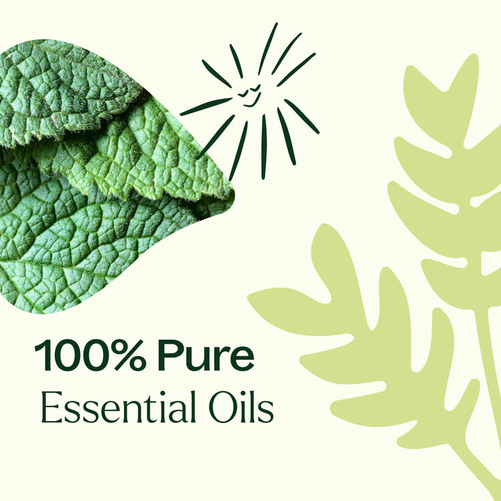 Pain Support Essential Oil Blend Roll On Set