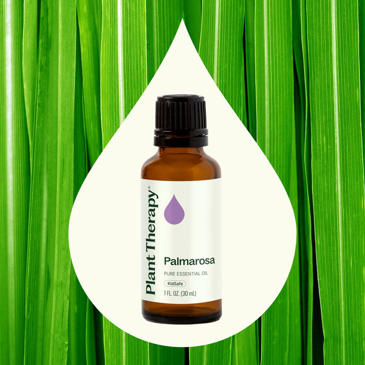 Palmarosa Essential Oil