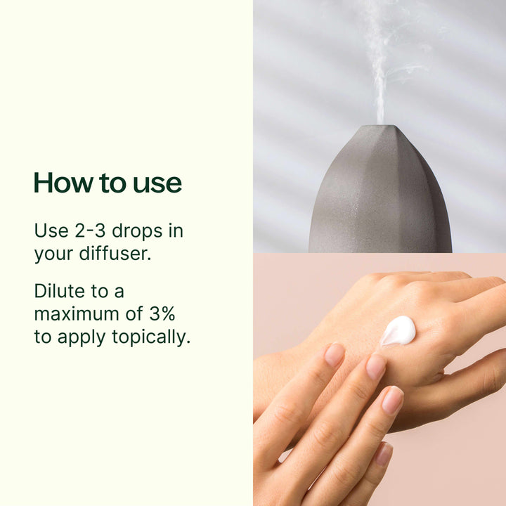 Palo Santo Essential Oil