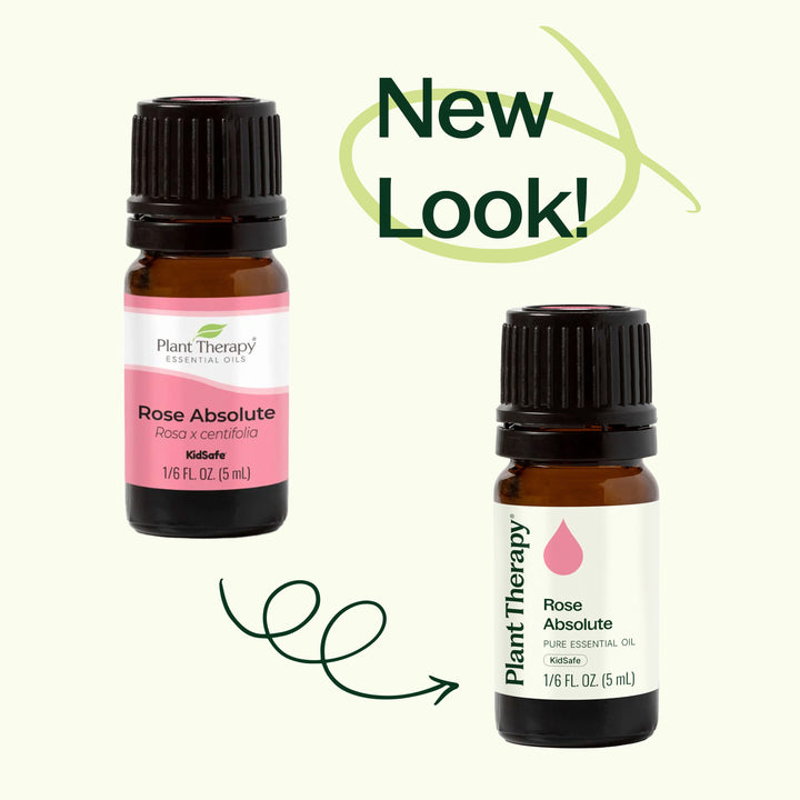Rose Absolute Essential Oil