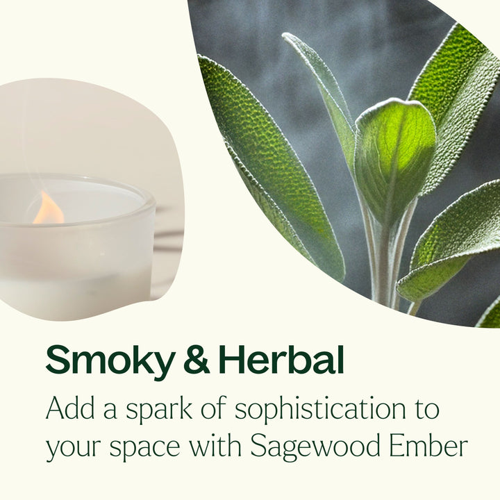 Sagewood Ember Naturally Scented Candle