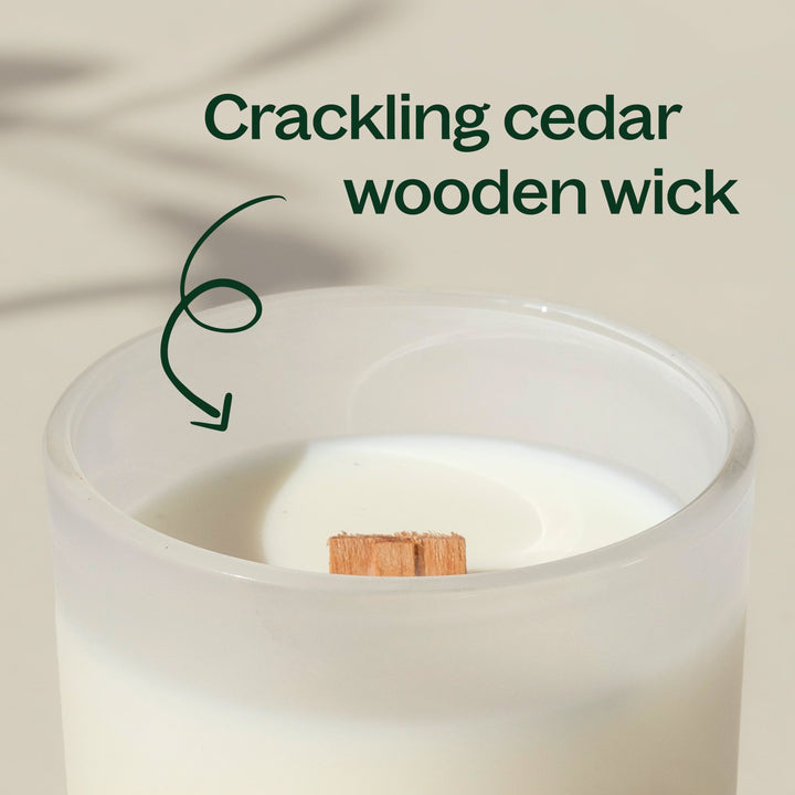 Sagewood Ember Naturally Scented Candle