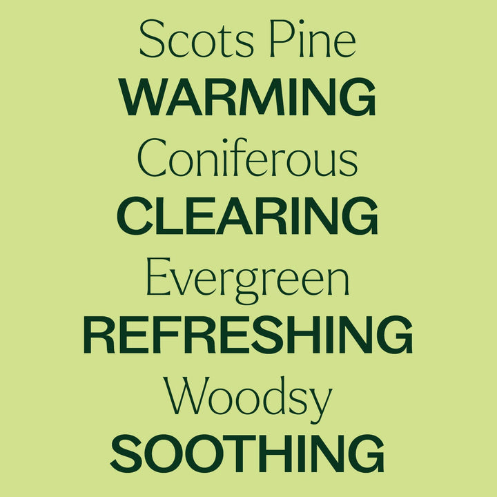 Scots Pine Essential Oil
