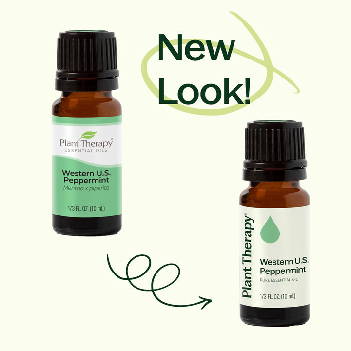 Western U.S. Peppermint Essential Oil