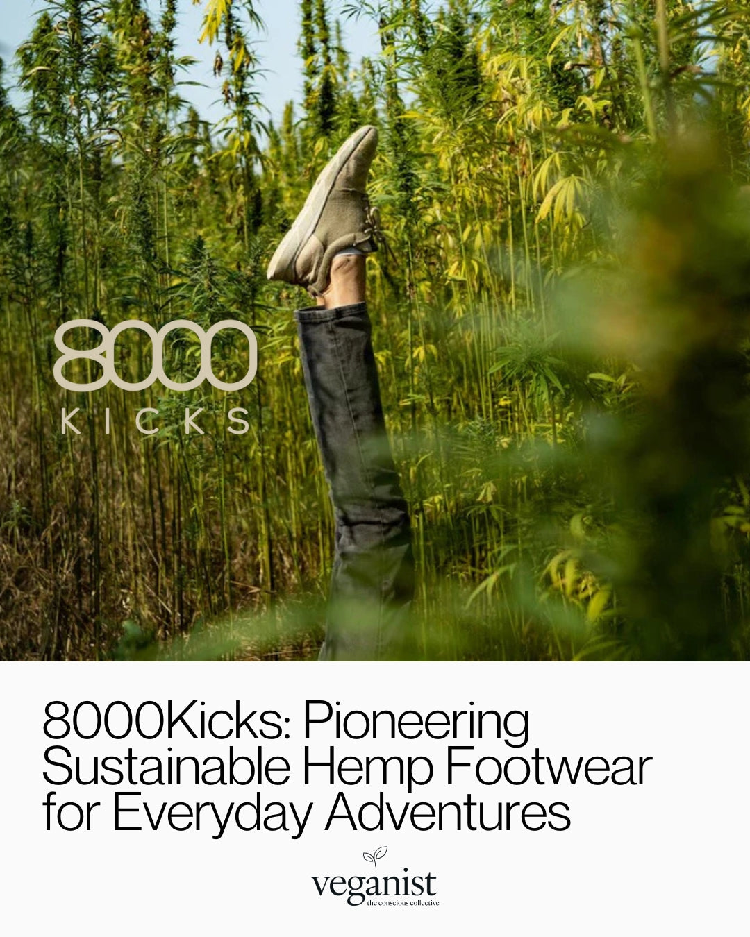 Discover 8000Kicks: Pioneering Sustainable Hemp Footwear for Everyday Adventures