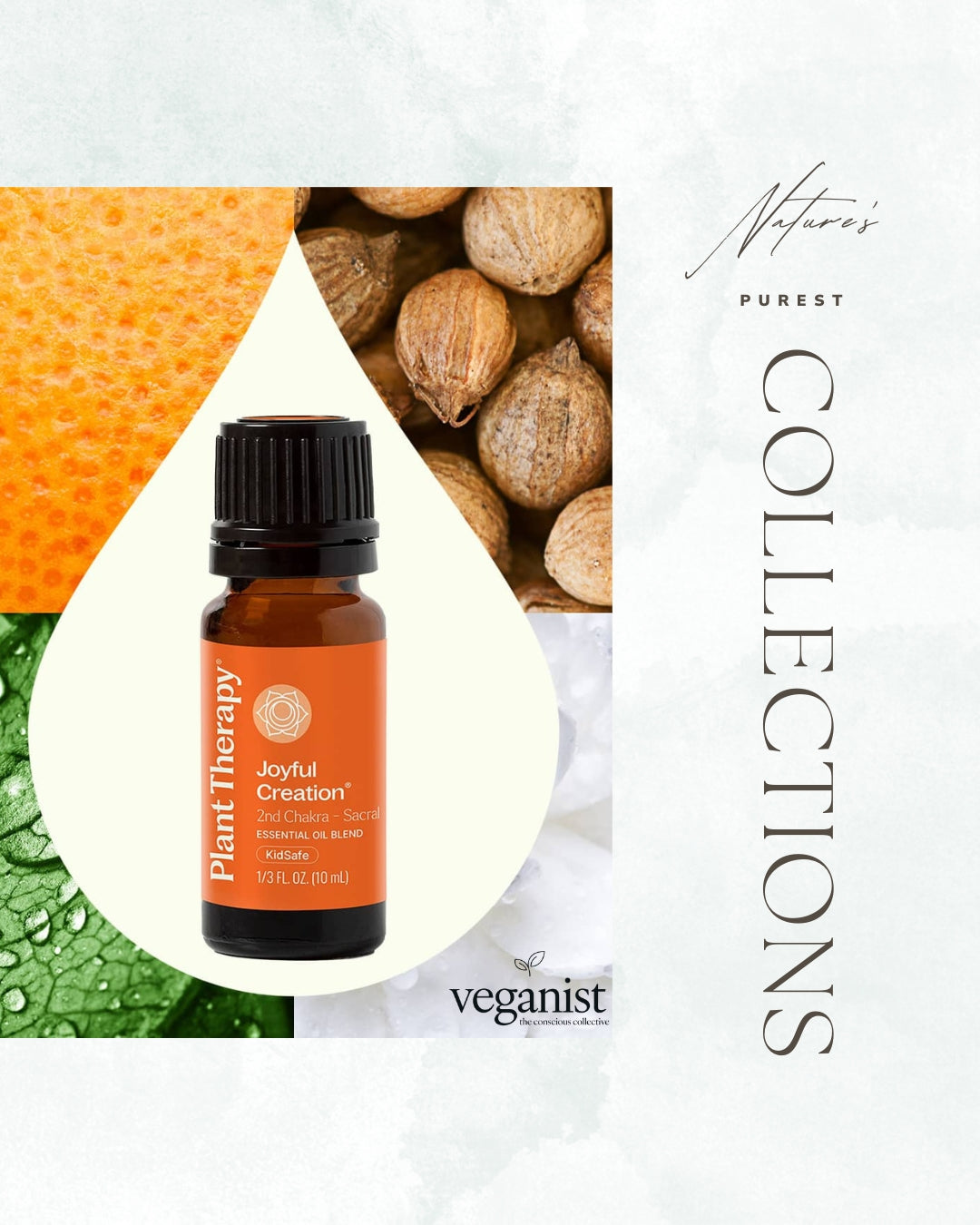 Plant Therapy: Elevating Everyday Moments with Nature’s Purest Collections