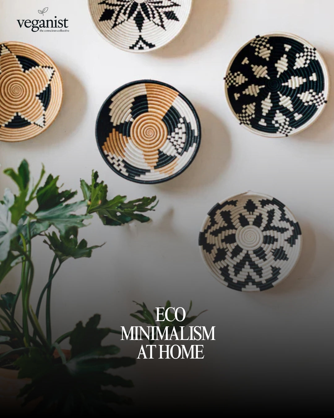 Eco-Minimalism at Home: Create a Mindful, Clutter-Free Sanctuary