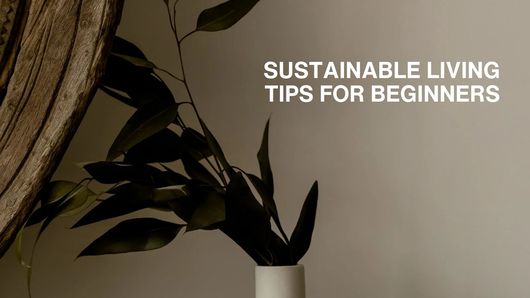Sustainable Living Tips for Beginners