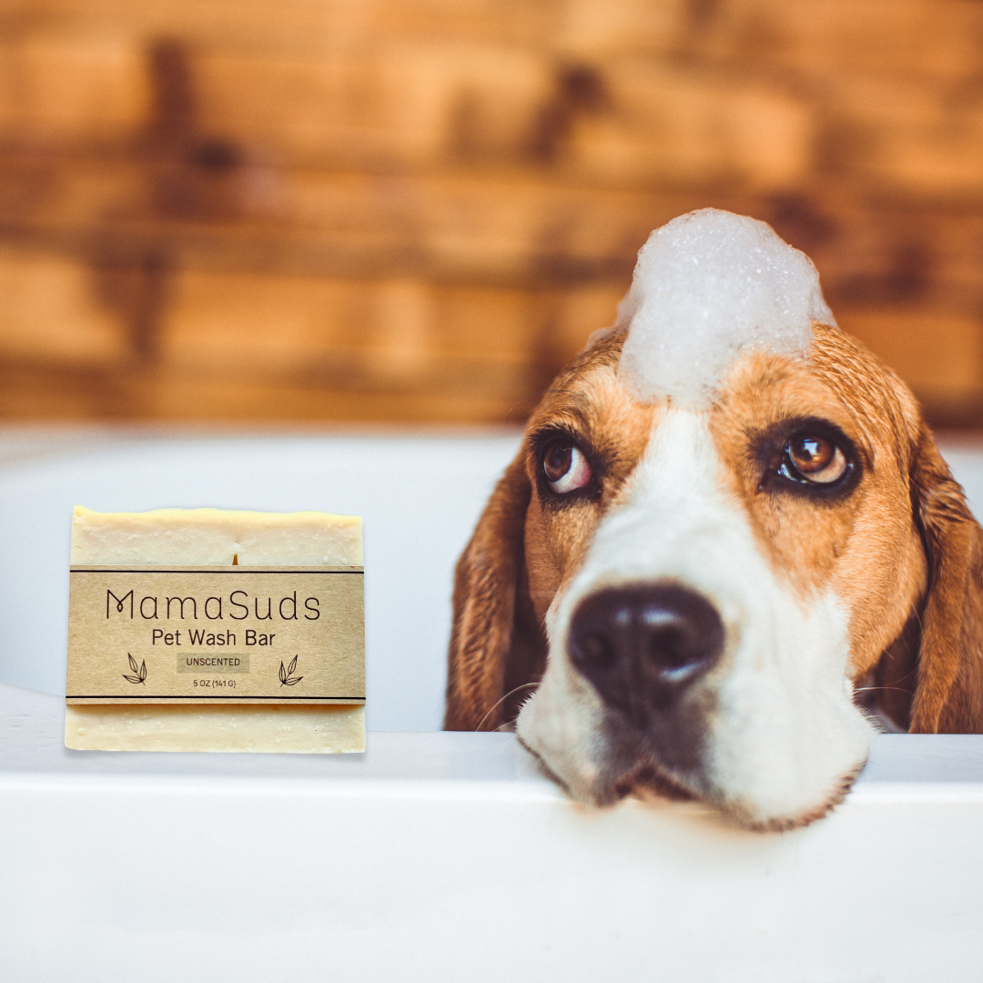 Pet Care