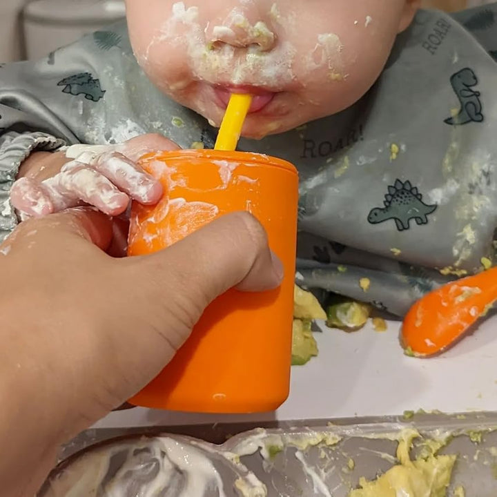 8 oz Medium Sippy Cup + Straw |  Silicone