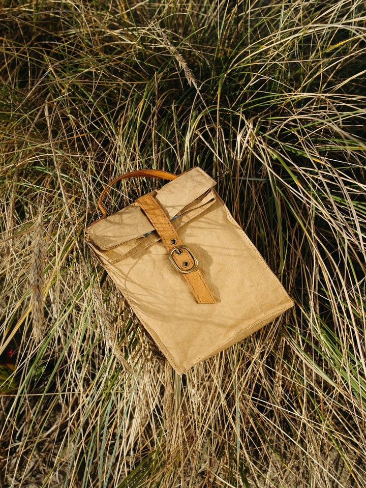 Paper Bag Lunch Cooler