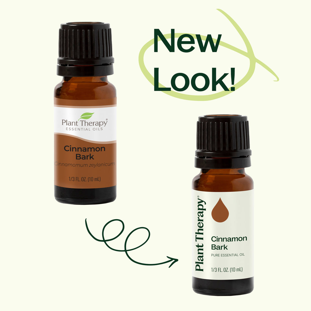plant therapy cinnamon Cinnamon Bark Essential Oil – Veganist