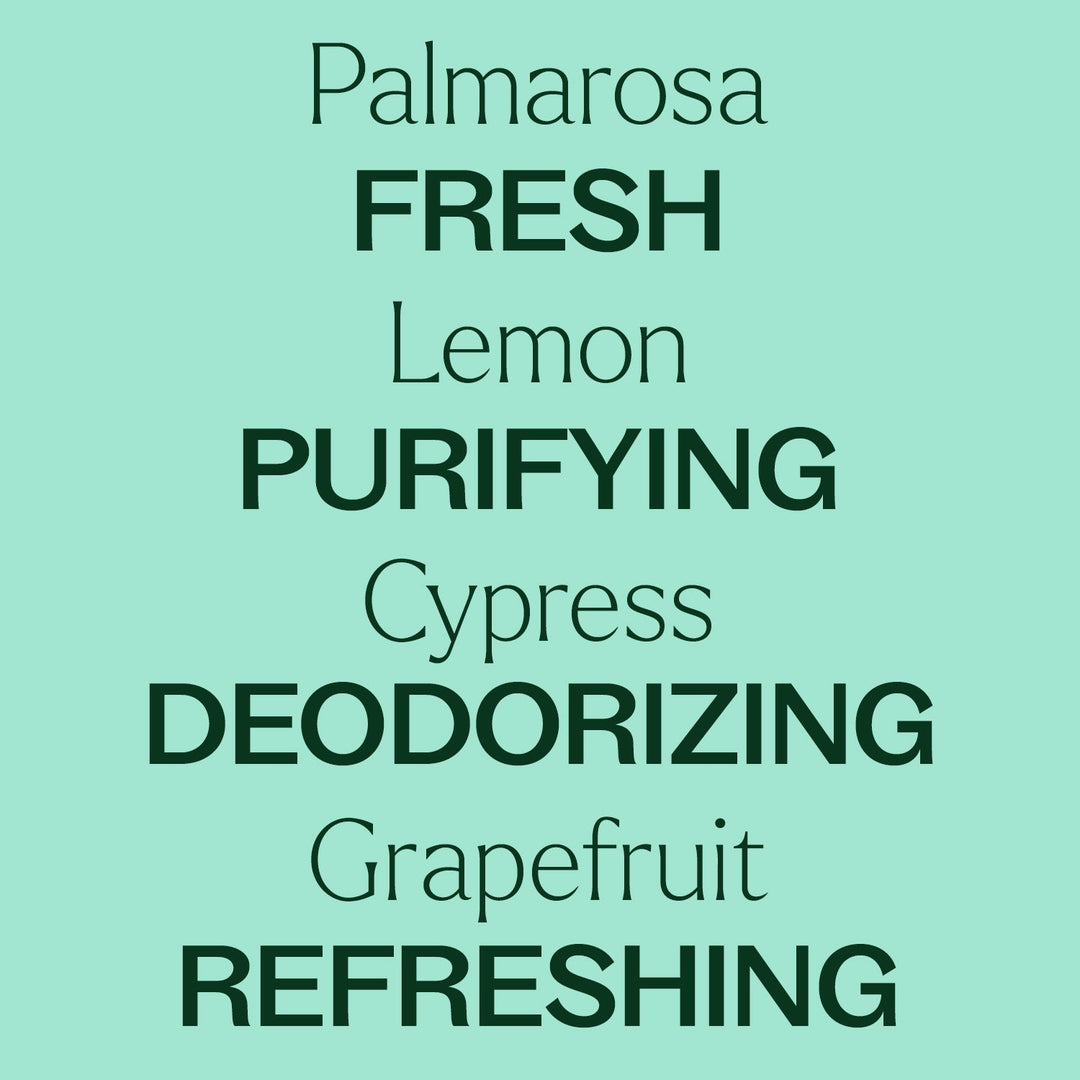 Deodorizing Powder