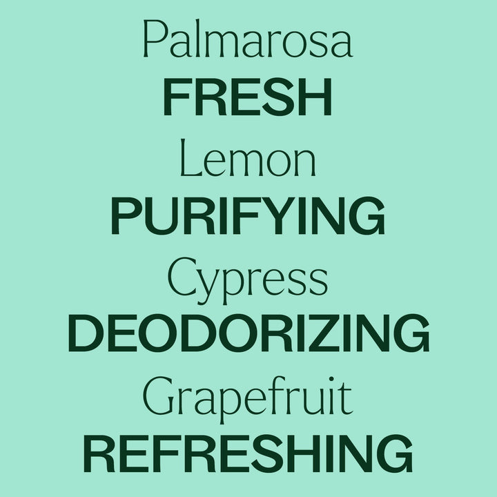 Deodorizing Powder