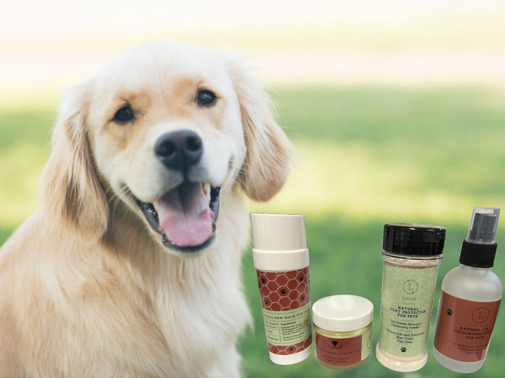Pet Pampering Gift Box -All-Natural Pet Wellness Kit – Soothing Balms & Herbal Coat Powder