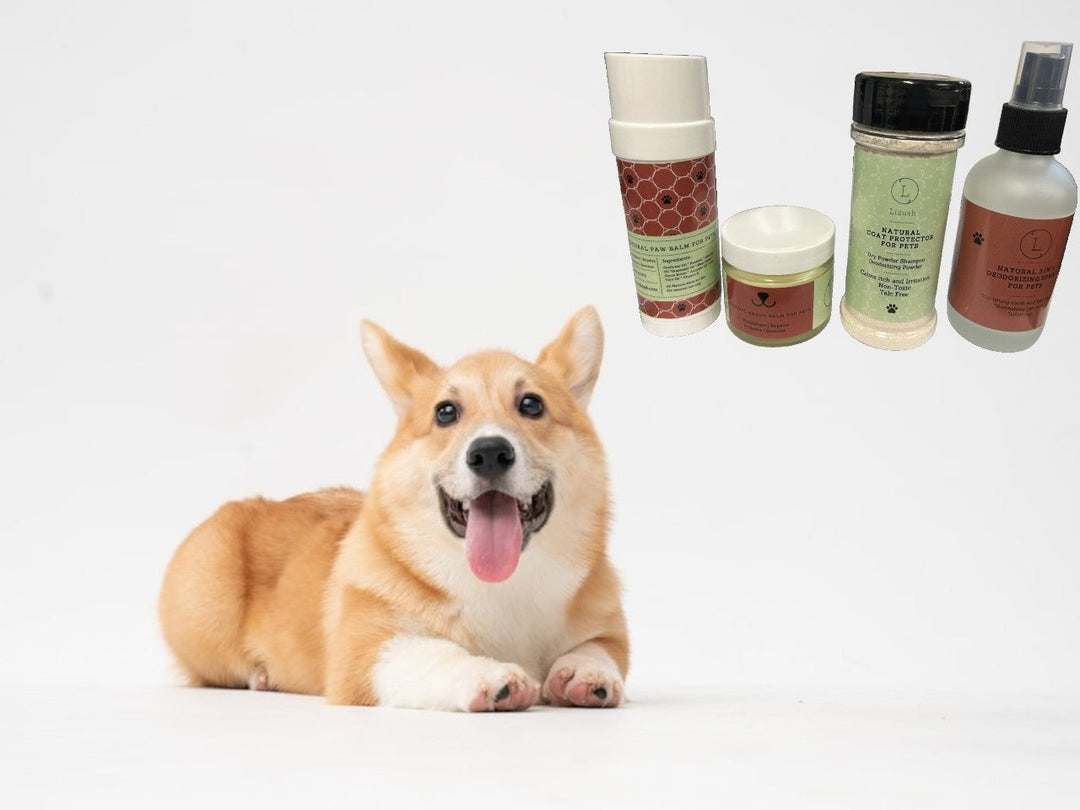 Pet Pampering Gift Box -All-Natural Pet Wellness Kit – Soothing Balms & Herbal Coat Powder