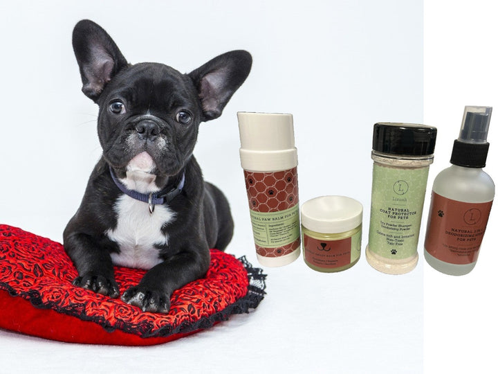Pet Pampering Gift Box -All-Natural Pet Wellness Kit – Soothing Balms & Herbal Coat Powder