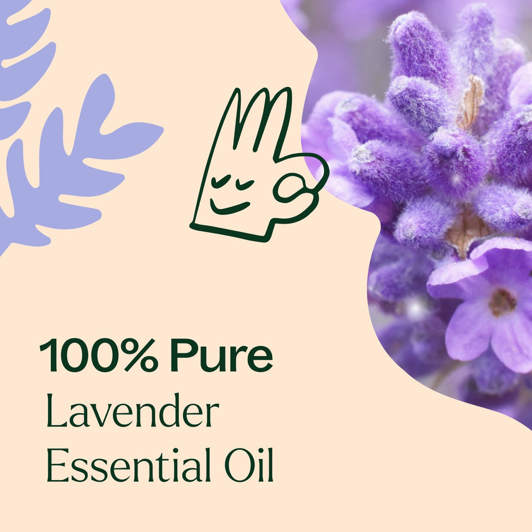 Lemon, Lavender and Peppermint Set