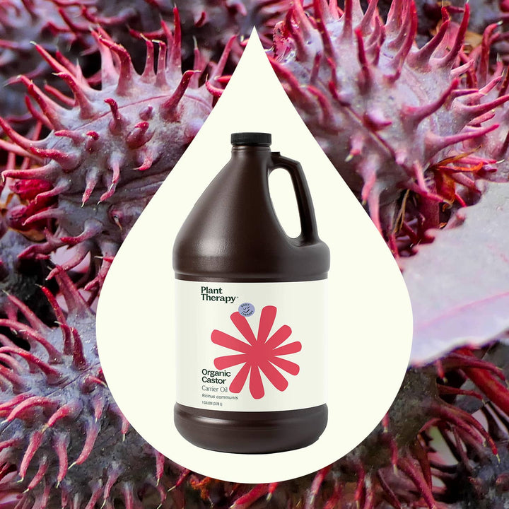 Organic Castor Carrier Oil Bulk