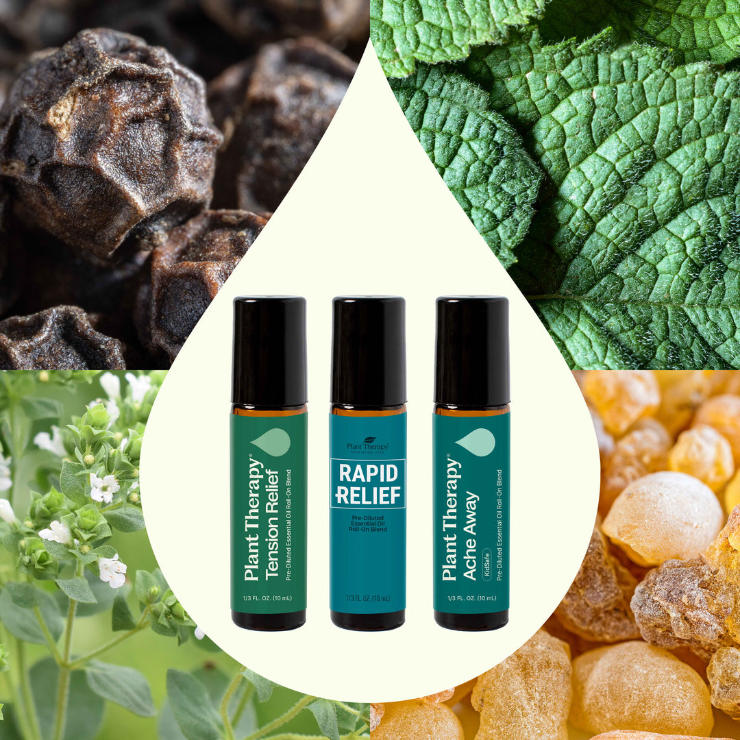 Pain Support Essential Oil Blend Roll On Set