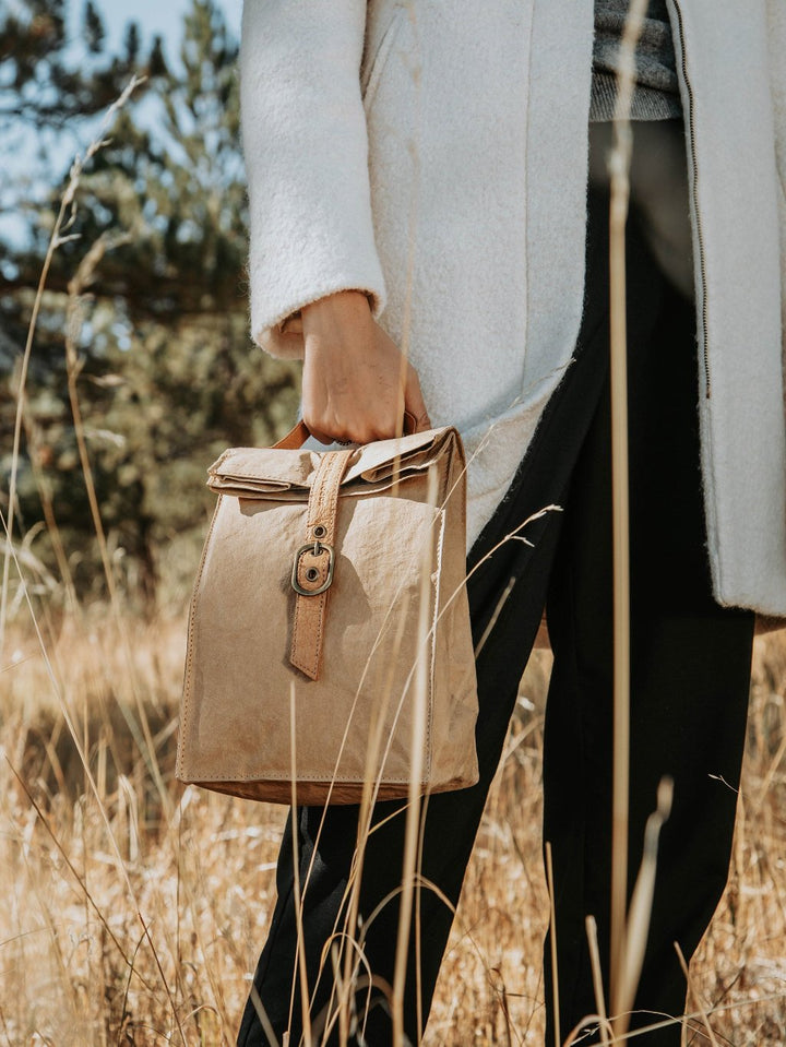 Paper Bag Lunch Cooler