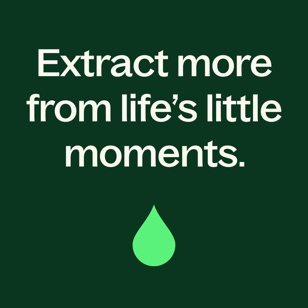 Sagewood Ember Naturally Scented Candle