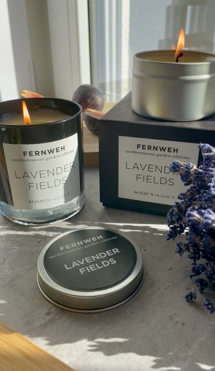Lavender Fields Scented Soy Candle