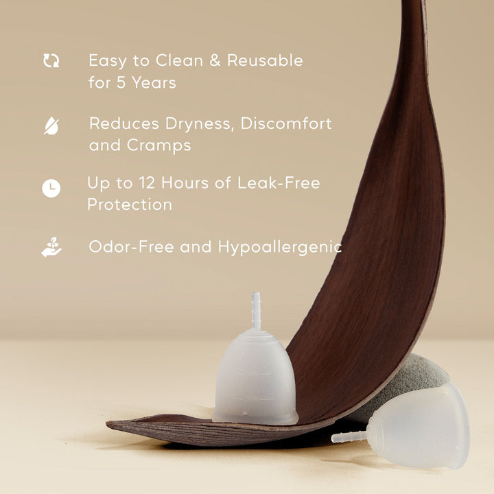 Shefre Menstrual Cup Kit - S+L