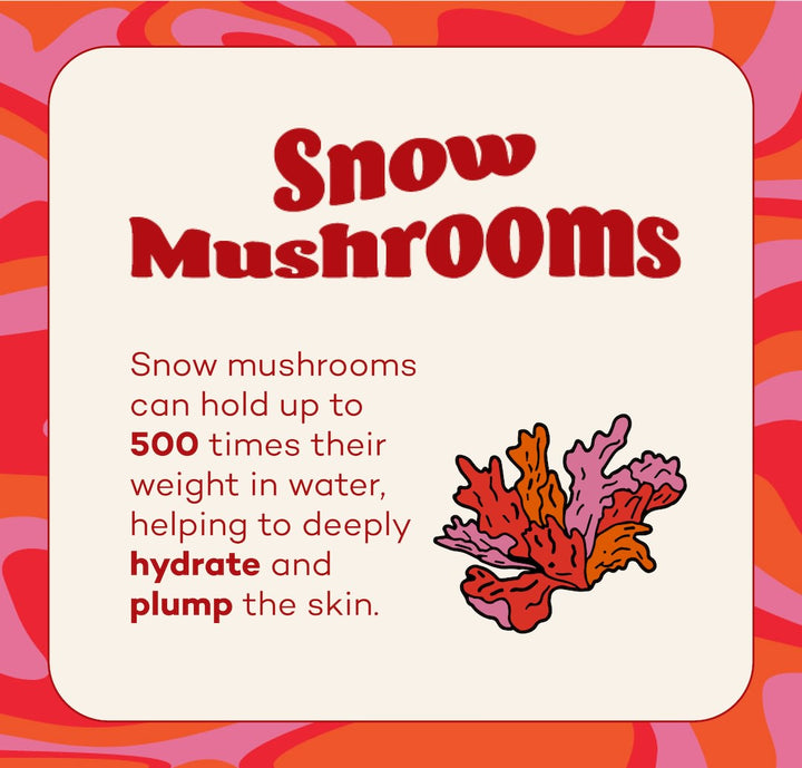 Fungdation - Reishi Mushroom Foundation