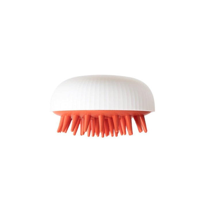 Beauty On-the-Go Bundle