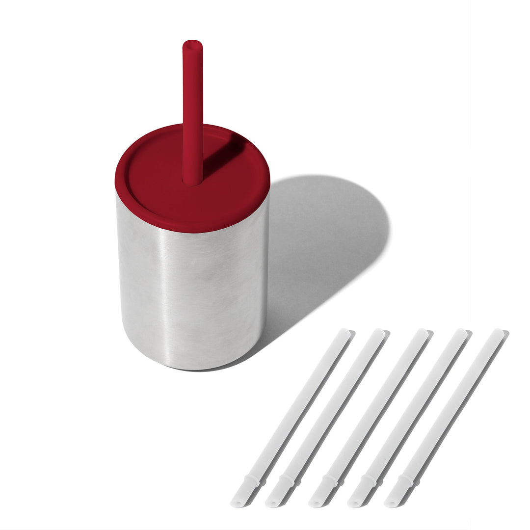 Avanchy Baby Cup with 5 Straws Gray