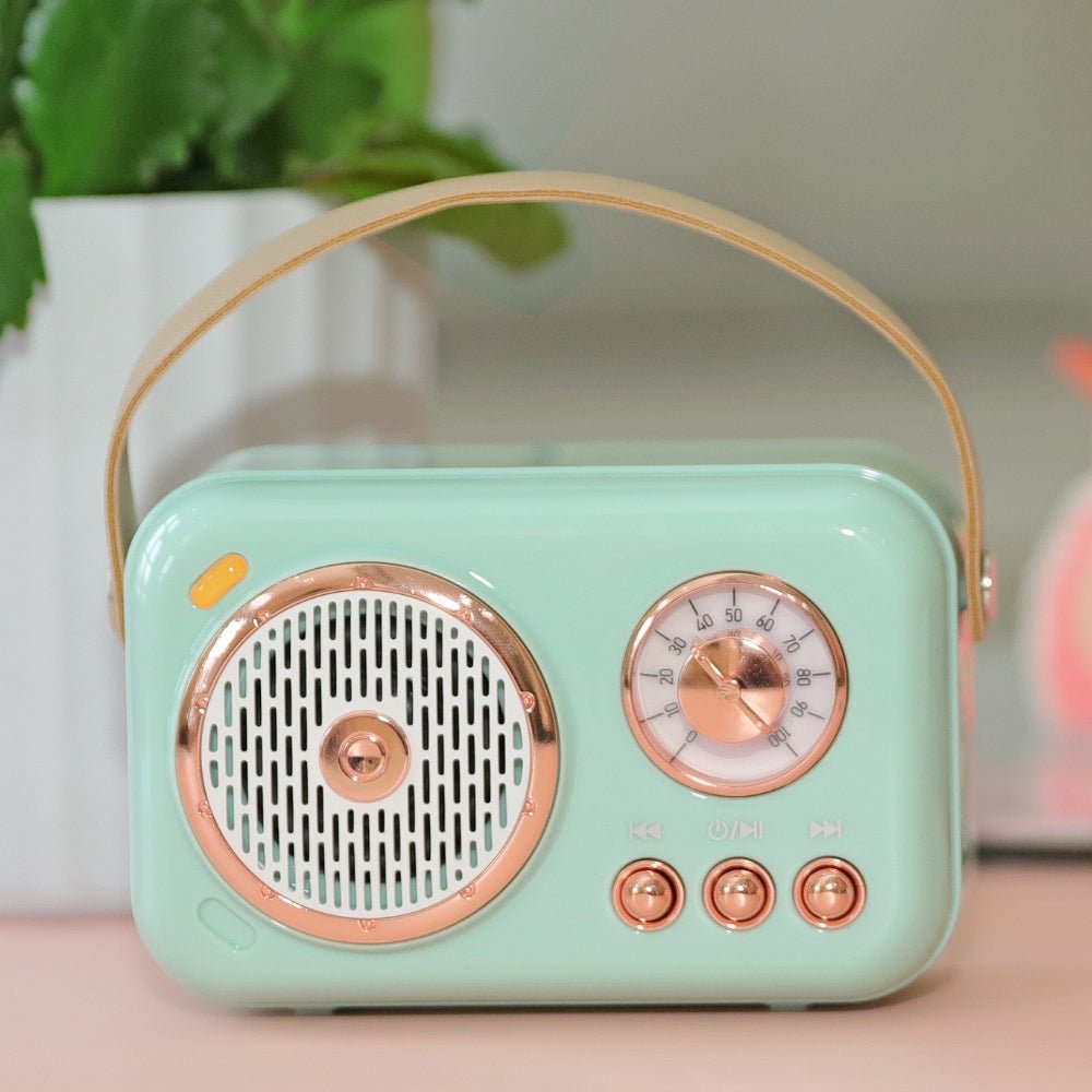 Retro Mini Karaoke Machine