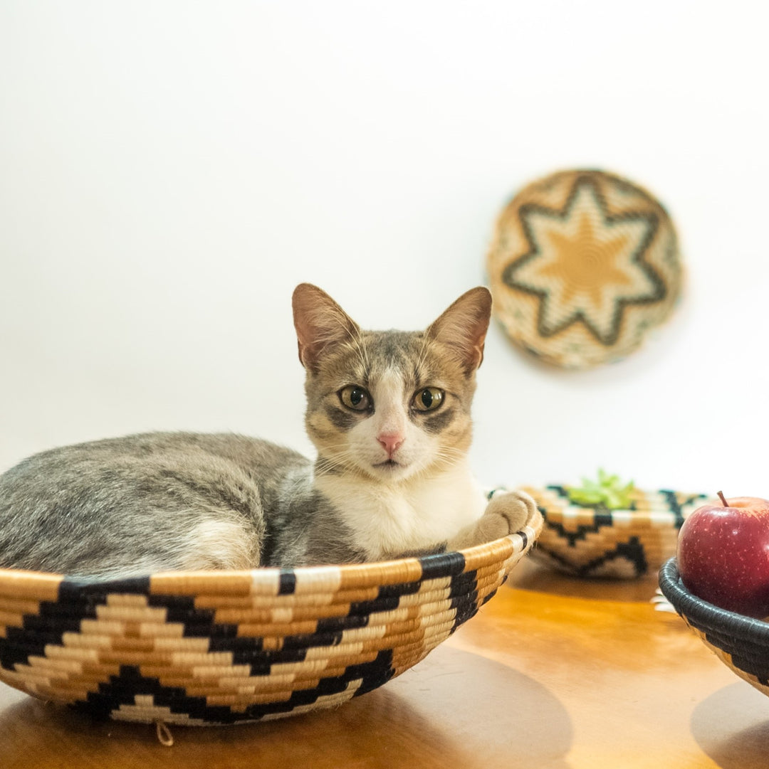 Rising Star Woven Bowls